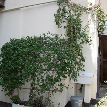 Garage36 Apartment Parma Bagian luar foto
